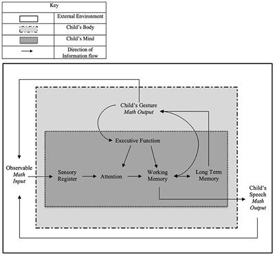 Siegler's information hotsell processing skills